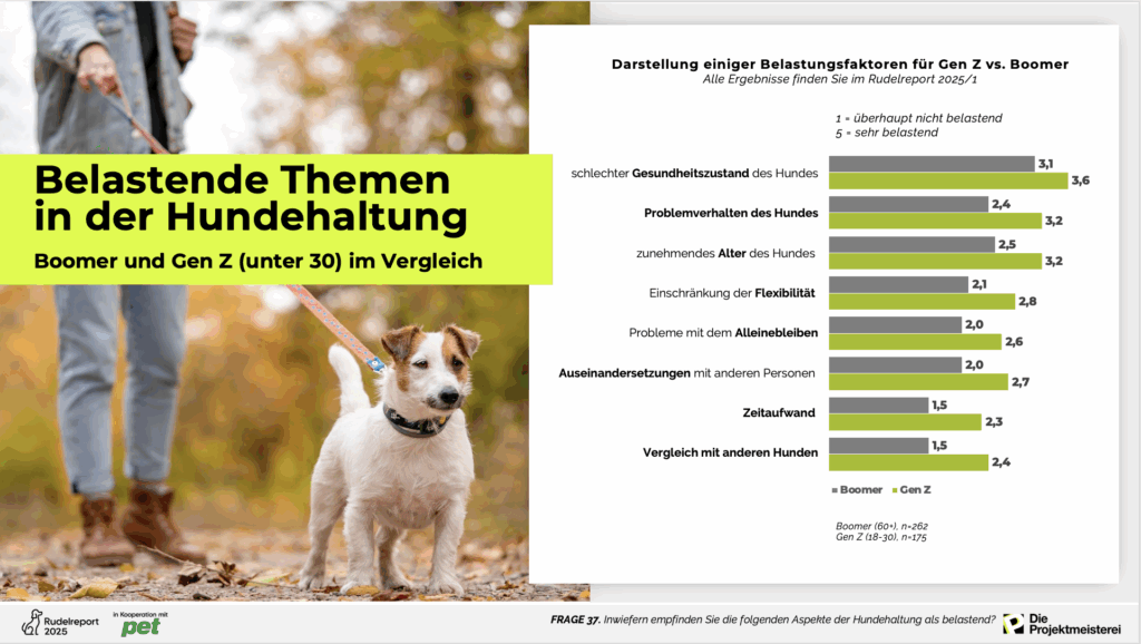 Generation Z und Boomer als Hundehalter