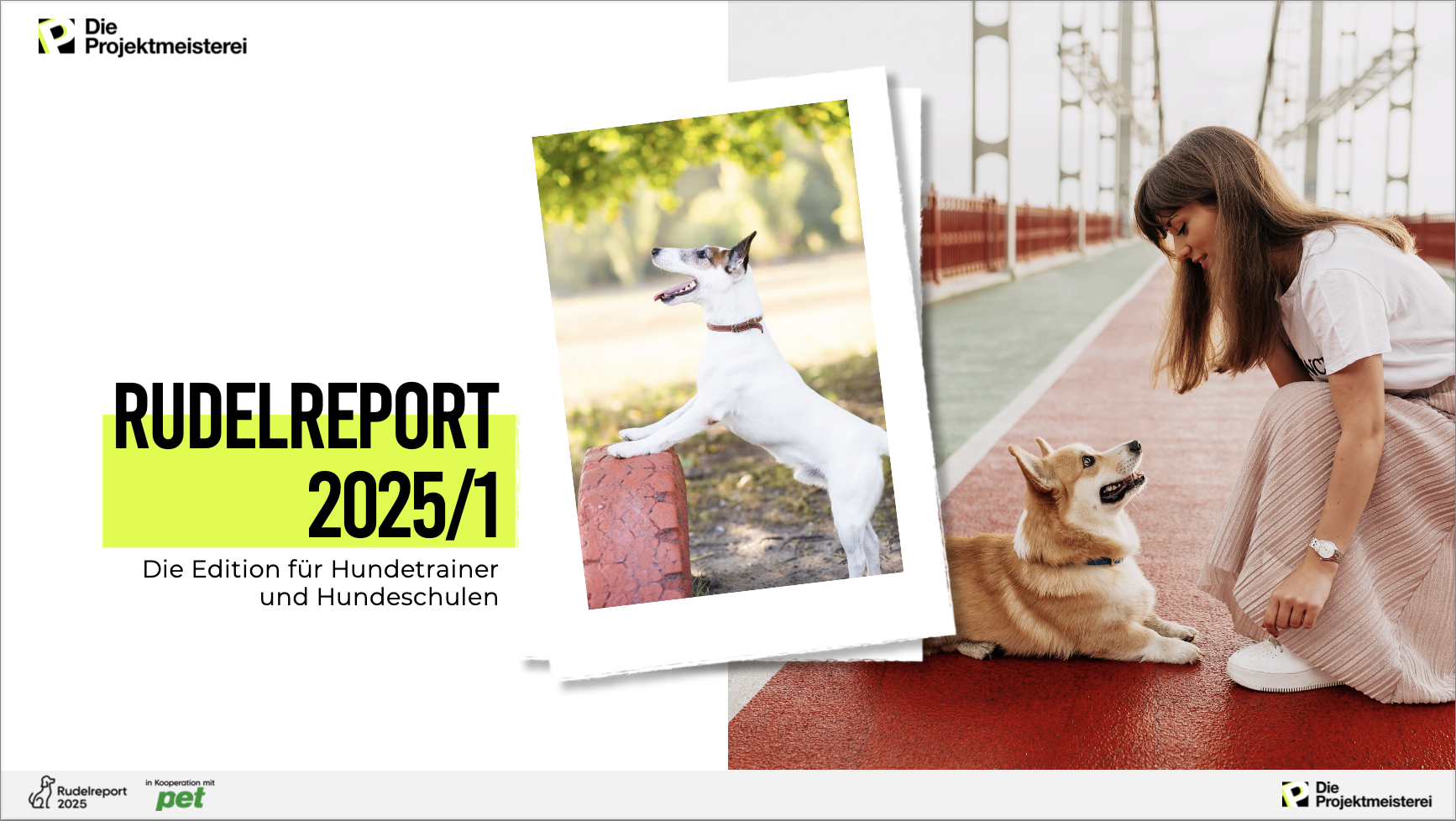 Cover Rudelreport Special Edition "Erziehung und Training"