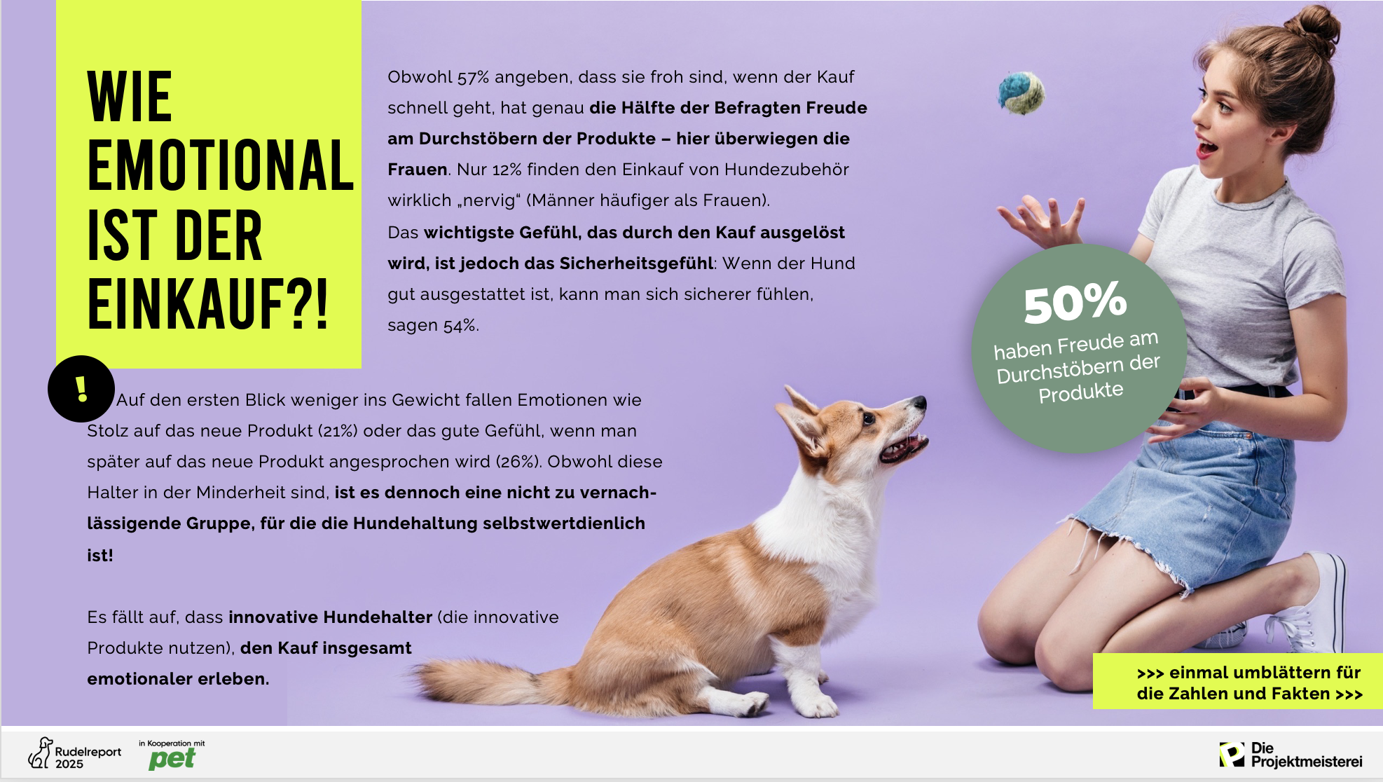 Eine weitere Beispielfolie aus der Rudelreport-Präsentation