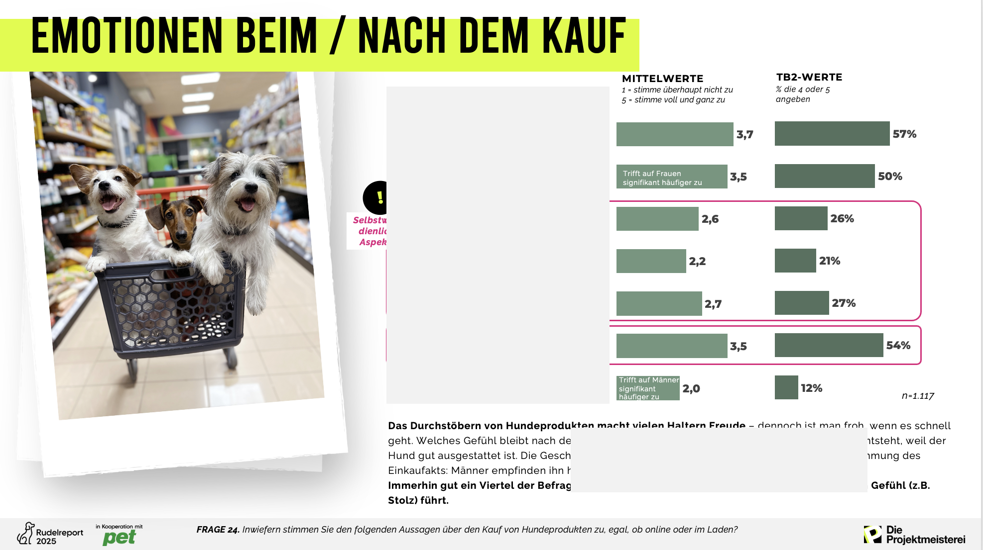 Beispielfolie aus der Rudelreport-Präsentation