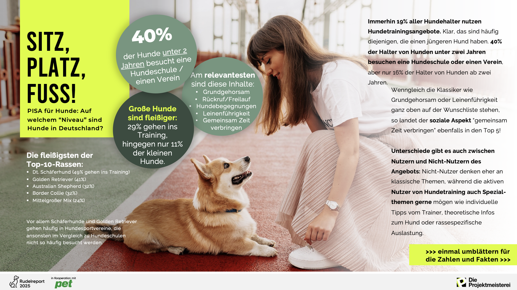 Noch eine Beispielfolie zum Thema Hundeschule aus der Rudelreport-Präsentation