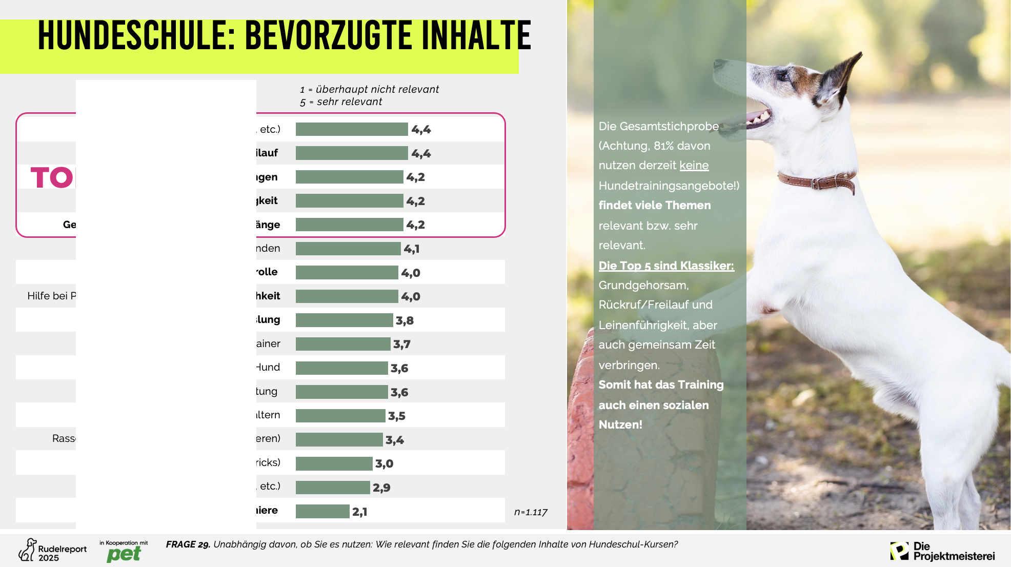 Beispielfolie zum Thema Hundeschule aus der Rudelreport-Präsentation