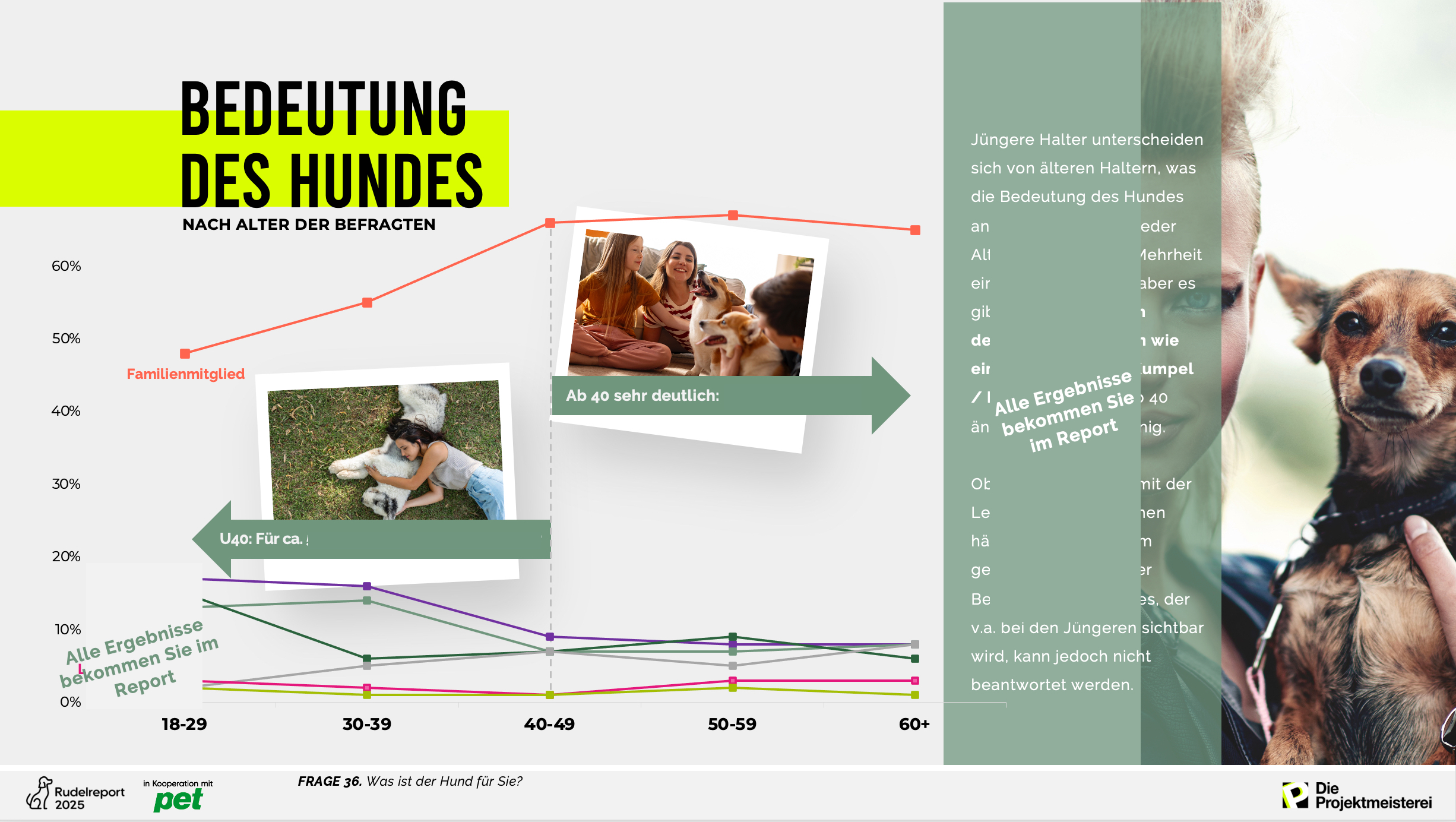 Rudelreport: Folie zur Bedeutung des Hundes