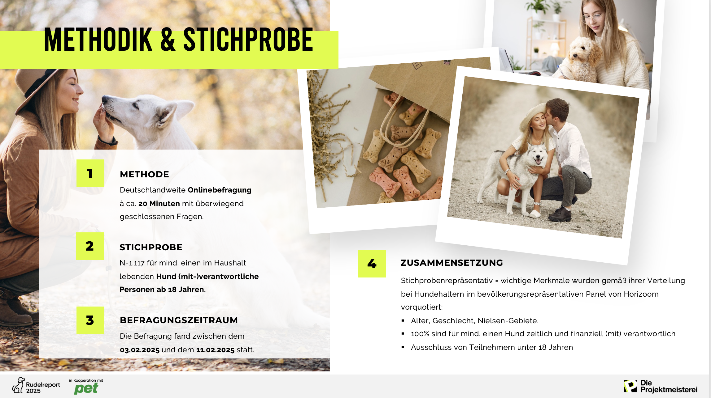 Beispielfolie zur Stichprobe aus der Rudelreport-Präsentation