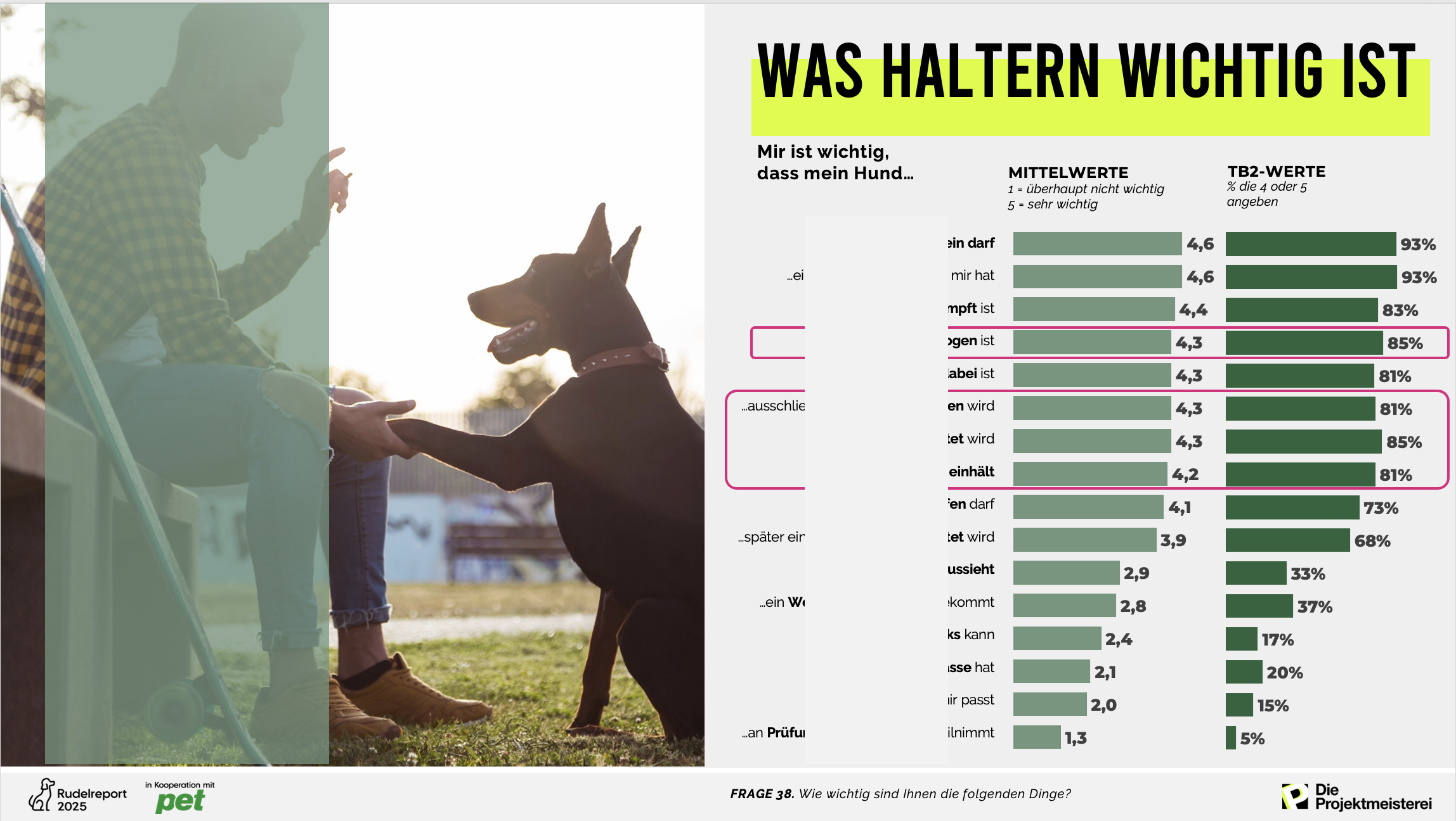 Beispielfolie zum Thema Hundeschule aus der Rudelreport-Präsentation