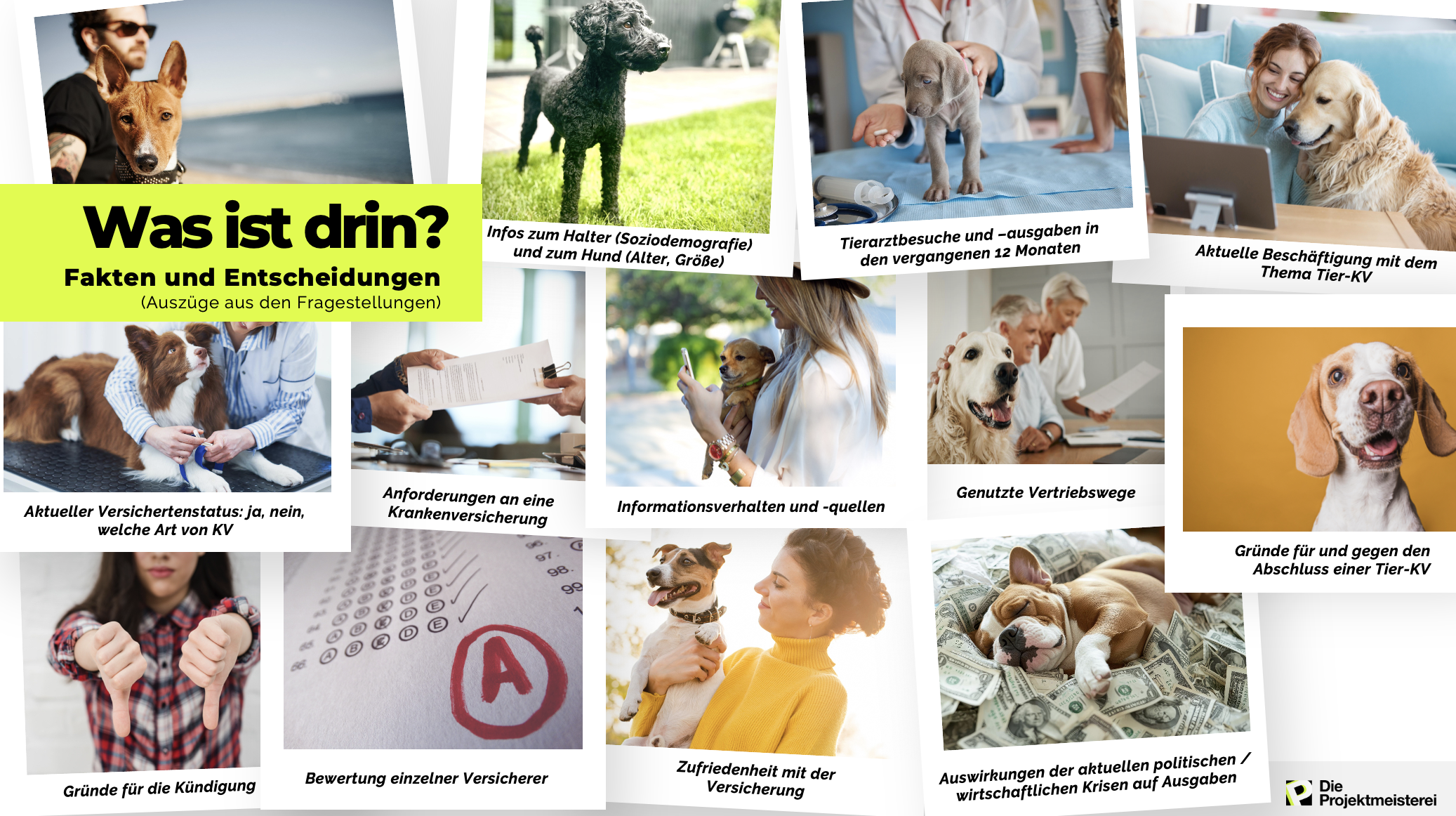 Folie über die Themen aus der Rudelreport-Präsentation