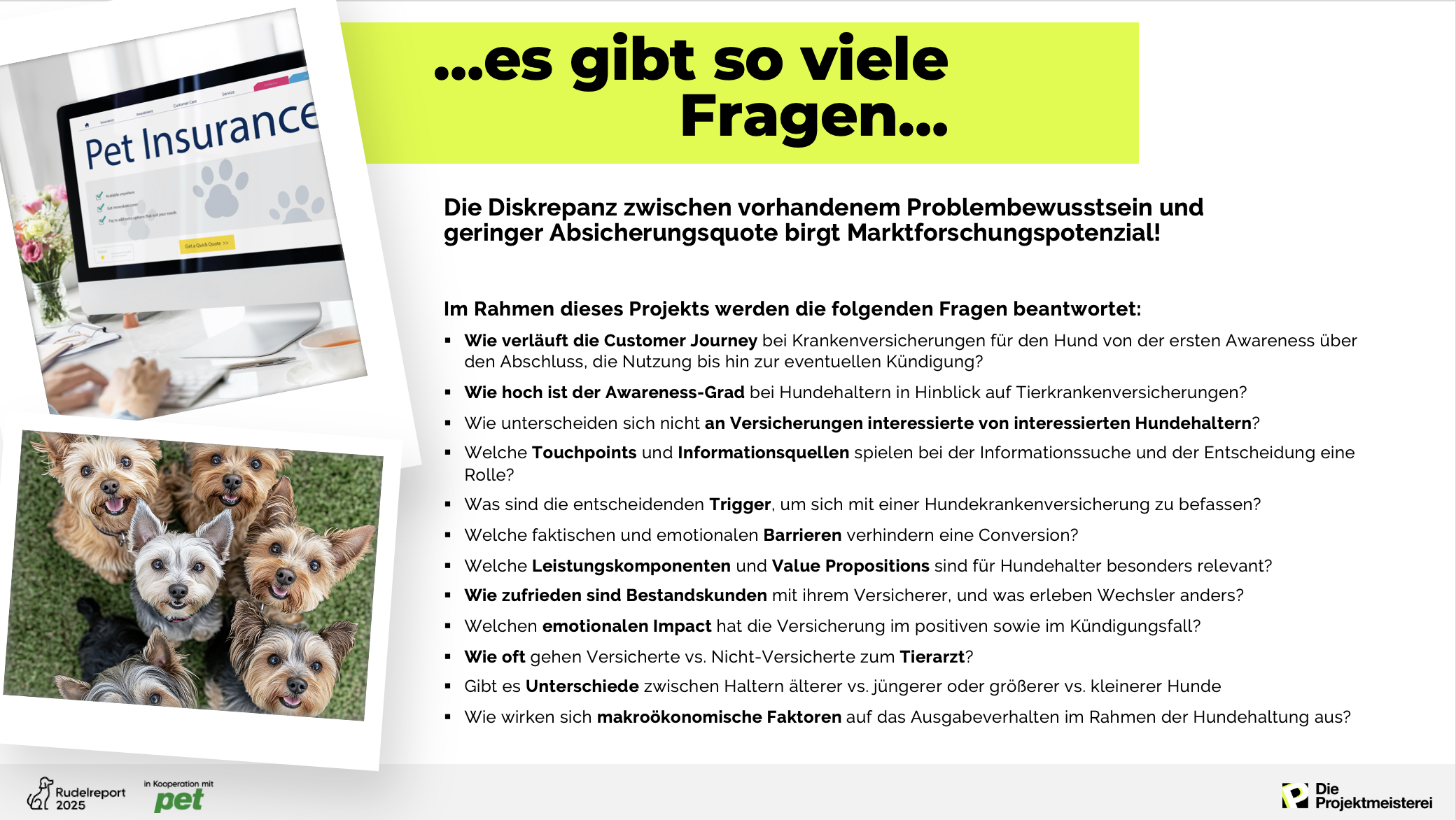 Fragestellungen des Rudelreports zum Thema Hundekrankenversicherungen