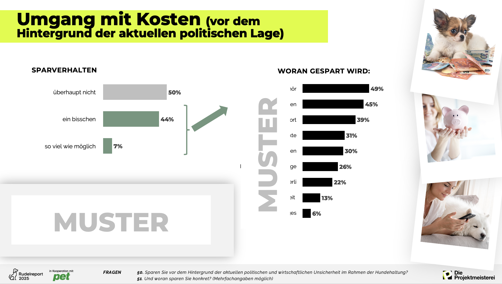Beispielfolie aus dem Rudelreport zum Thema Tierkrankenversicherungen: Umgang mit den Kosten