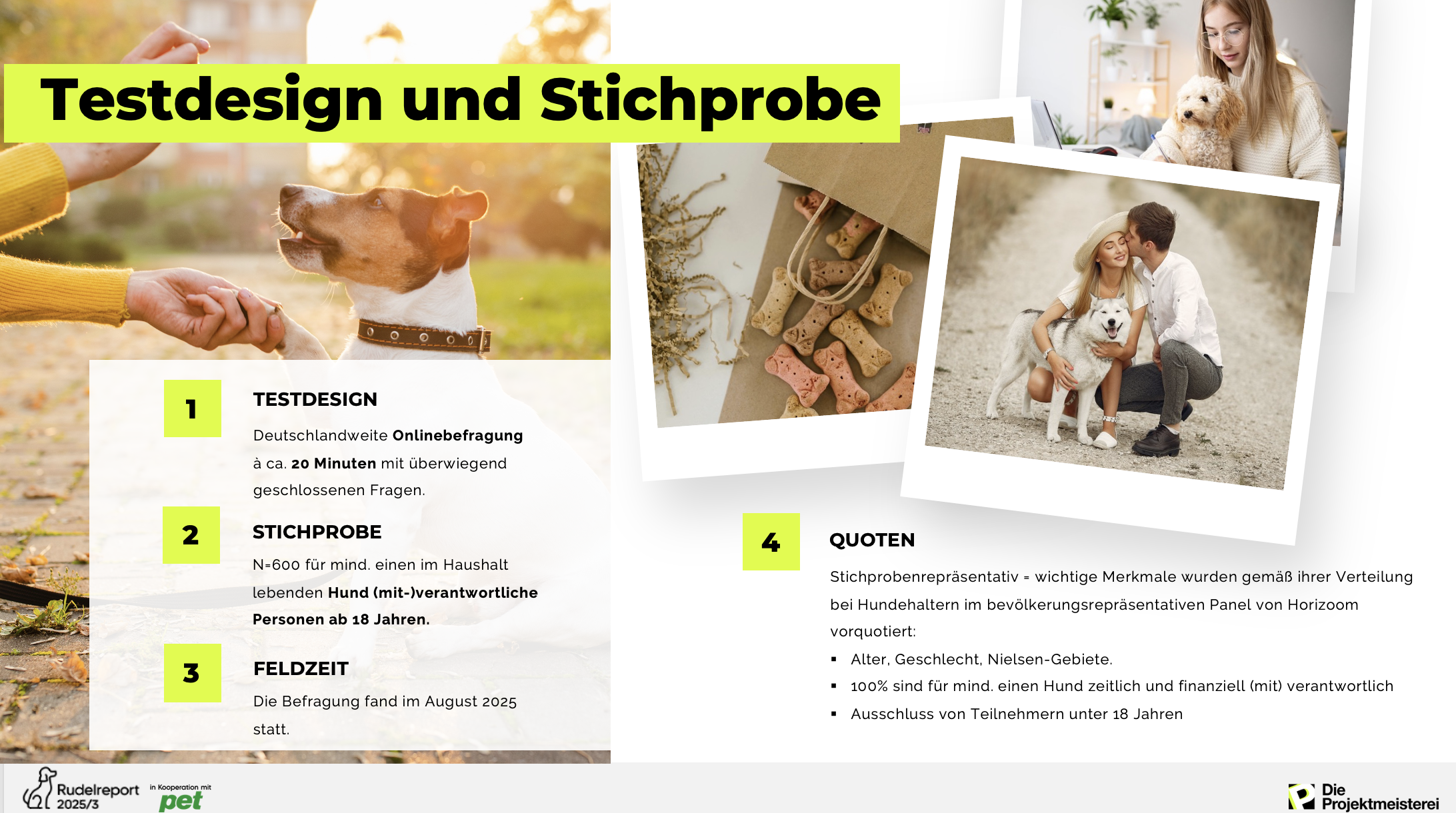 Testdesign des Rudelreport 3