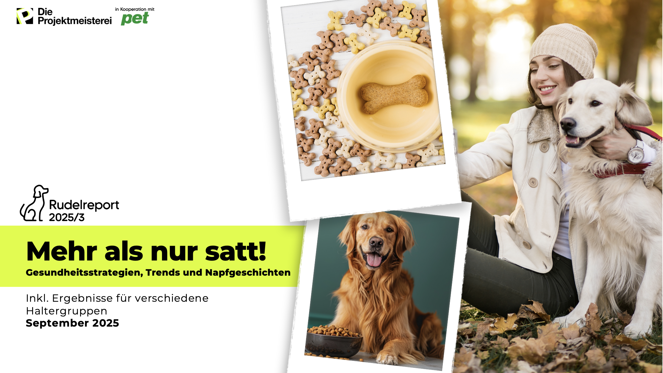 Cover des neuen Rudelreports