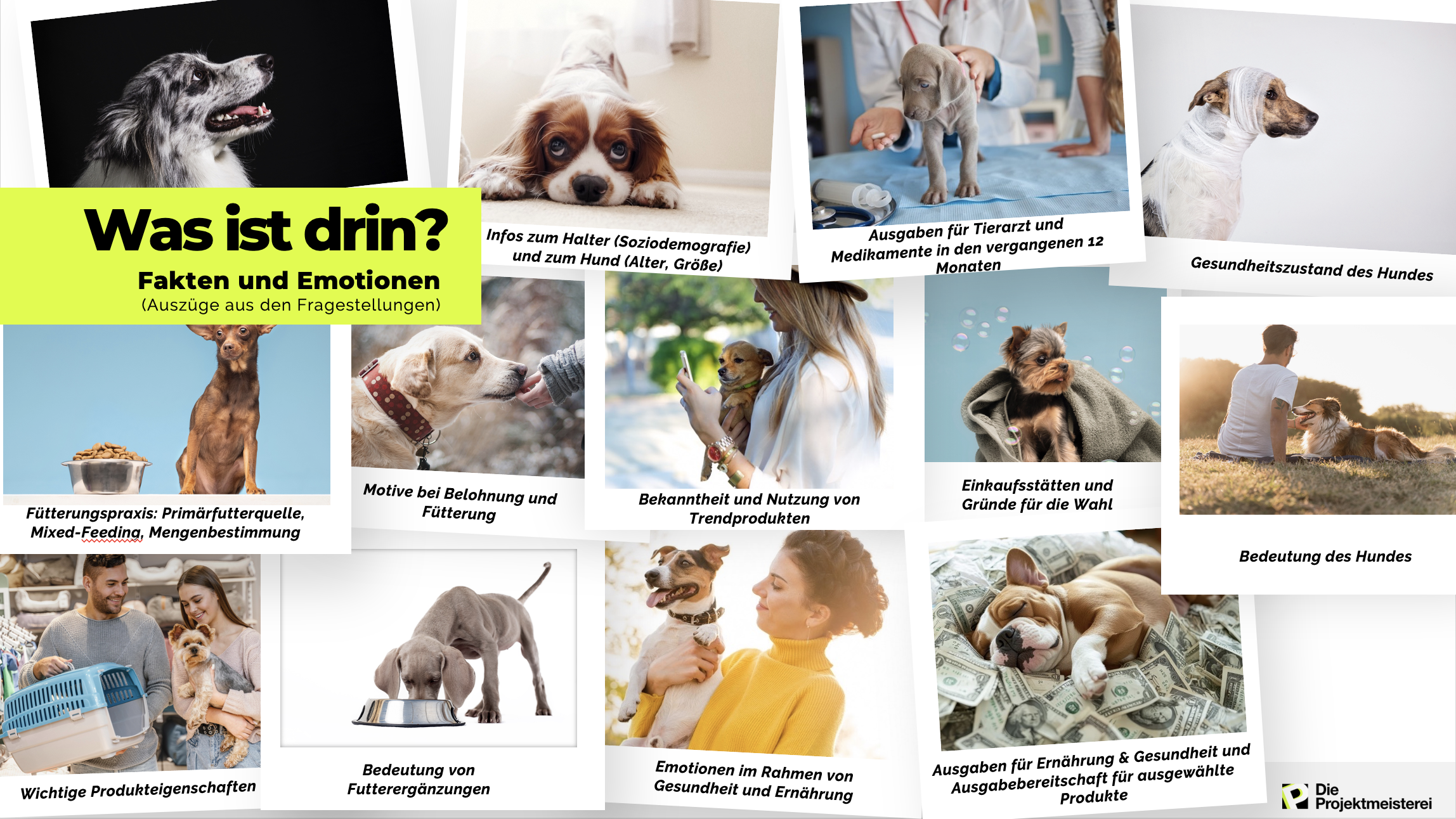 Auszug aus dem Rudelreport Gesundheit und Ernährung