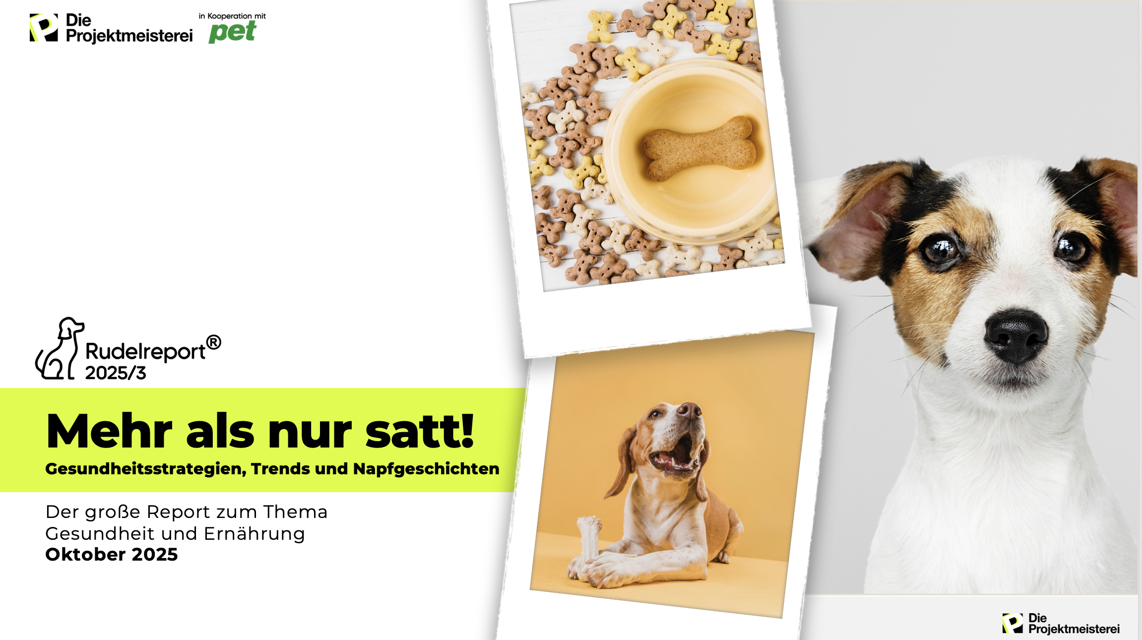 Rudelreport Gesundheit und Ernährung