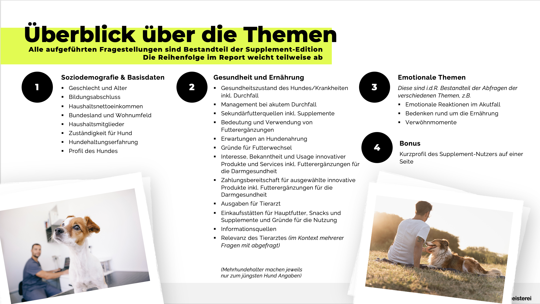 Themenüberblick Supplemente