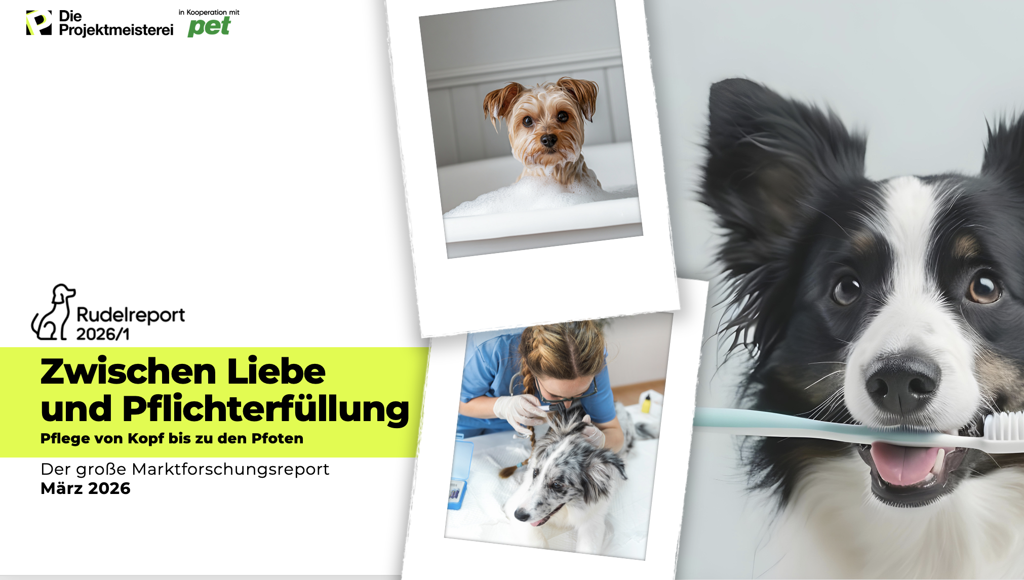 Rudelreport 2026/1 zu Fellpflege