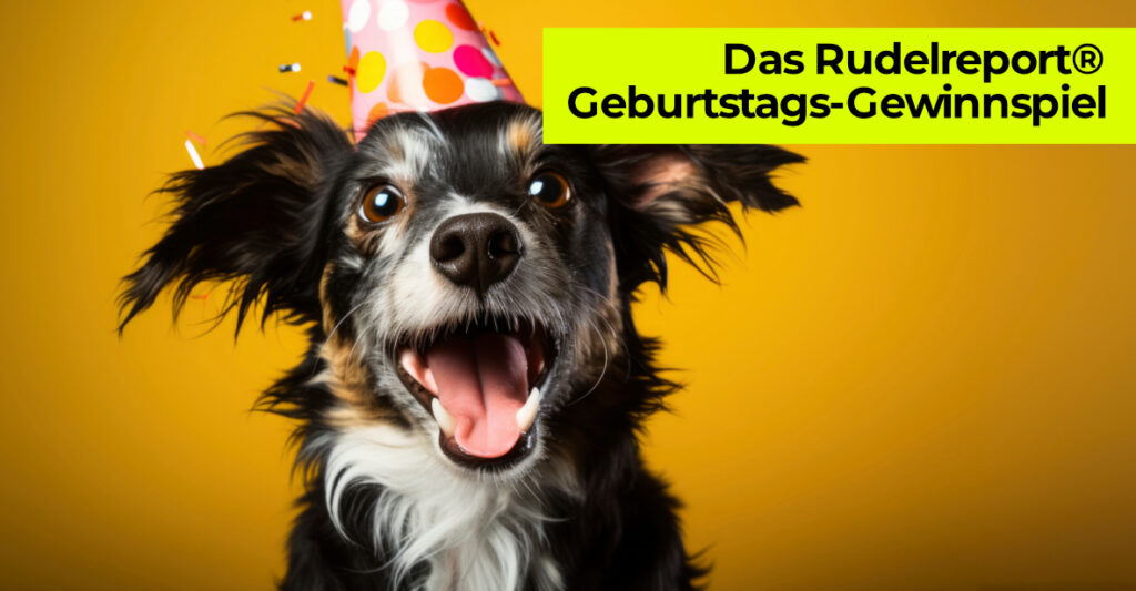 Der Rudelreport feiert seinen ersten Geburtstag mit einem Gewinnspiel