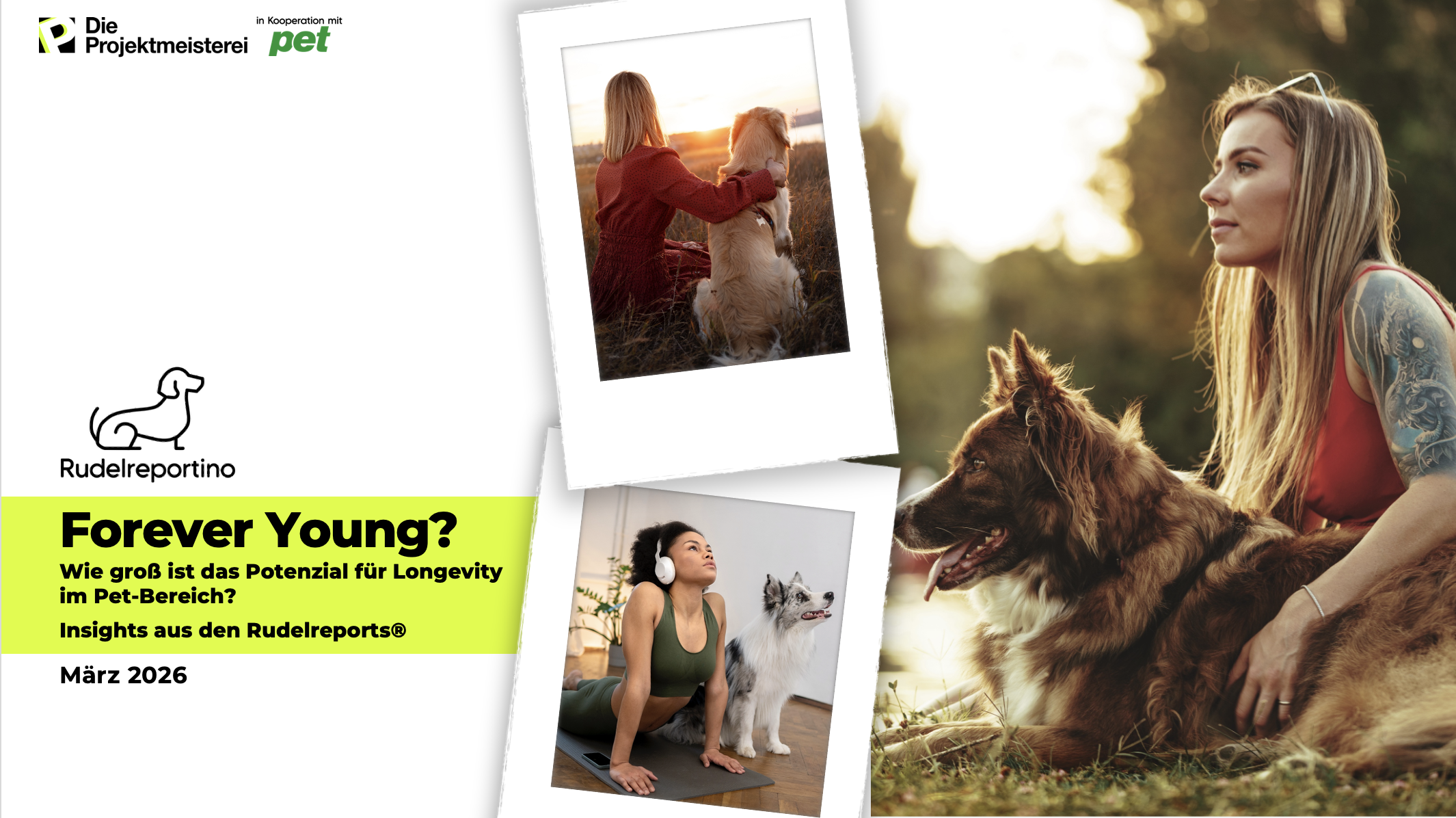 Bildschirmfoto 2026-03-13 um 14.36.16